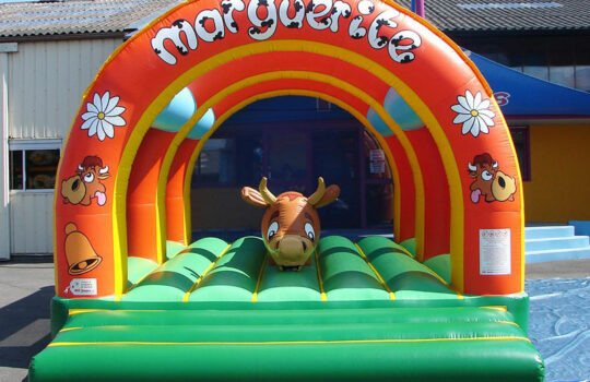 gonflable Marguerite-2